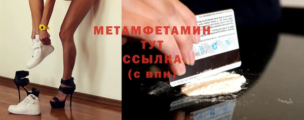 прущие грибы Козельск