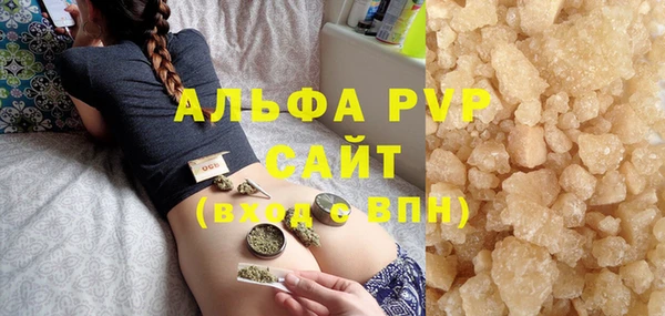 прущие грибы Козельск