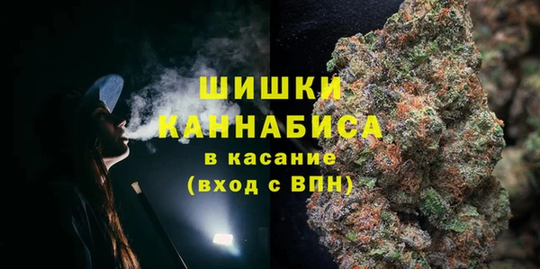 прущие грибы Козельск