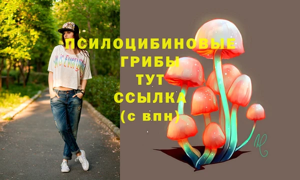 гашик Костерёво
